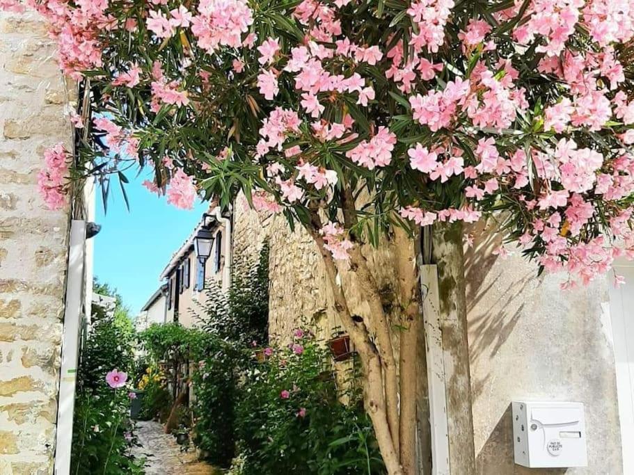 Delicieux Moment De Detente Au Coeur De Saint Martin De Re Екстер'єр фото
